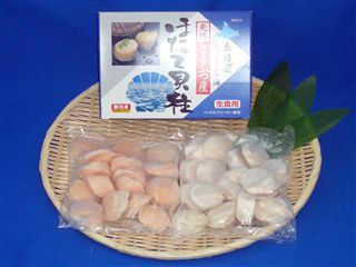 �z�^�e�L�����ʌ�����i